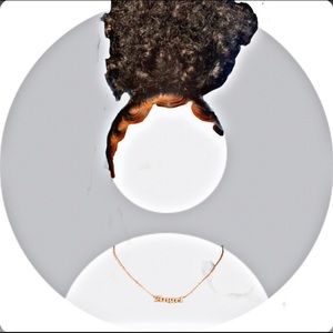 Meet your Posher, Autumn